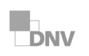 Logo DNV s-w